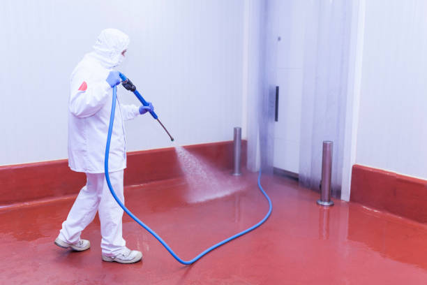 Best House Exterior Washing  in Snow Hill, MD