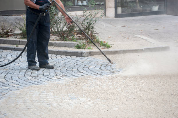 Best Dumpster Area Cleaning  in Snow Hill, MD