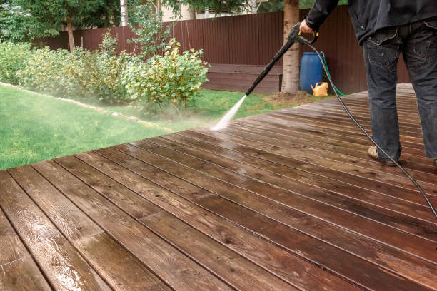 Best Driveway Pressure Washing  in Snow Hill, MD