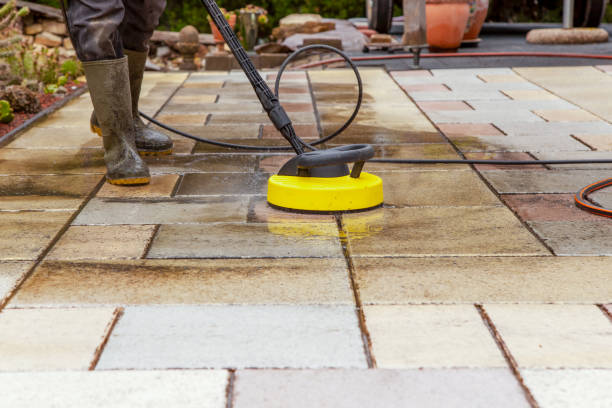 Best Animal Enclosure Cleaning  in Snow Hill, MD